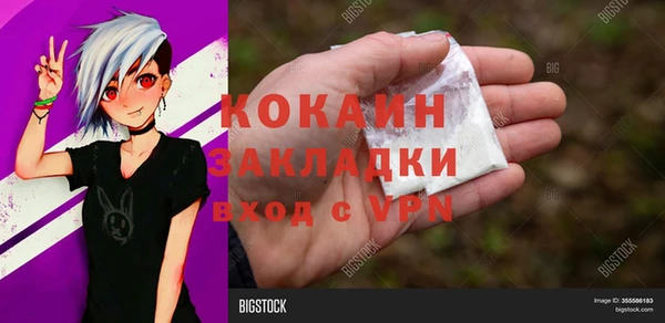 дживик Козельск