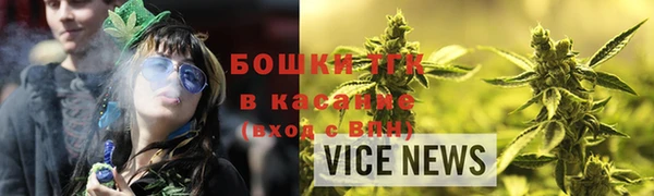 дживик Козельск