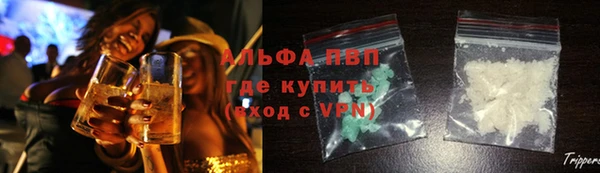 гидра Кодинск