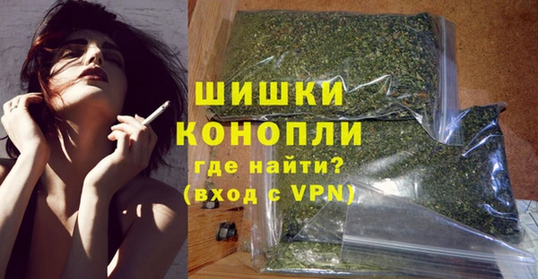 гидра Кодинск