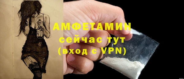 дживик Козельск