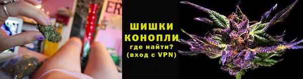 дживик Козельск
