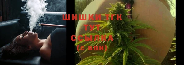стаф Медногорск