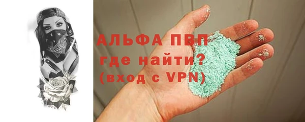 гидра Кодинск