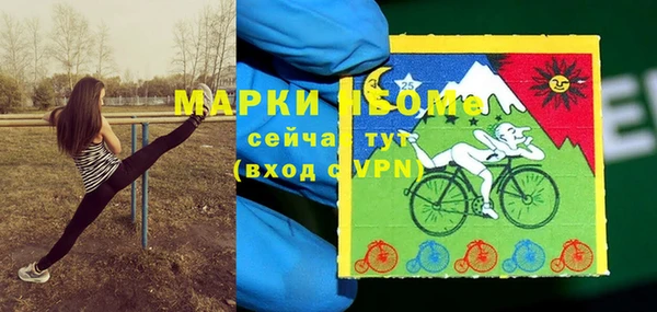 дживик Козельск