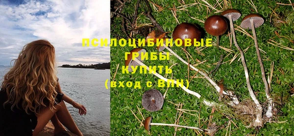 дживик Козельск