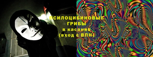 дживик Козельск