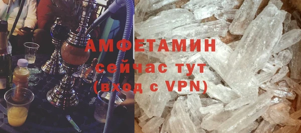 гидра Кодинск