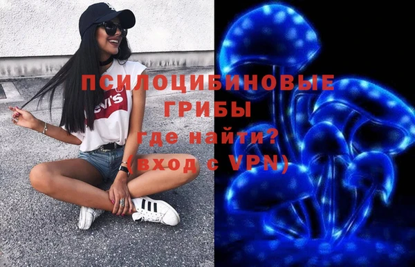 гидра Кодинск