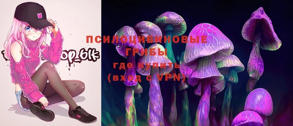 дживик Козловка