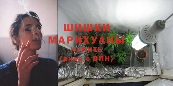 гидра Кодинск