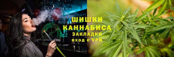 дживик Козельск