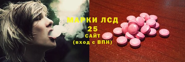 гидра Кодинск