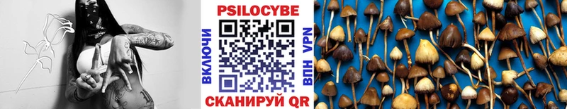 ОМГ ОМГ вход  что такое   даркнет Telegram  Псилоцибиновые грибы Cubensis  Поронайск 